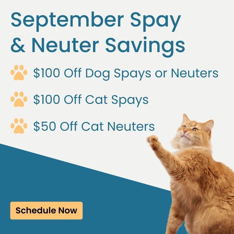 Spay & Neuter - save up to $100 in September!