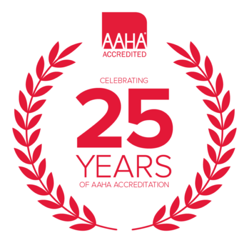 AAHA-accredited hospital