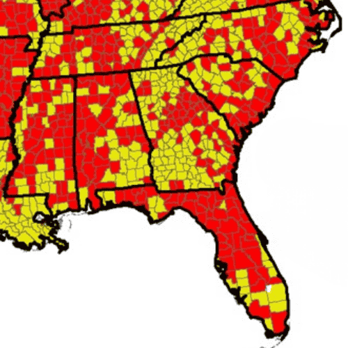 Lone Star Tick in GA