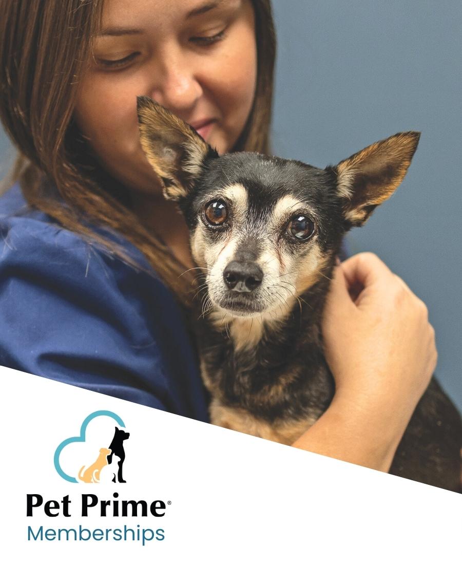 Pet Prime - Pet Wellness Plans